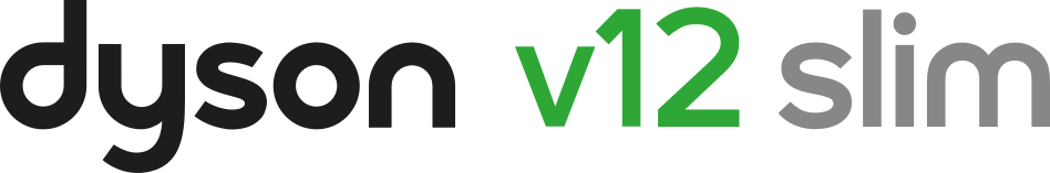 v12 detect slim logo